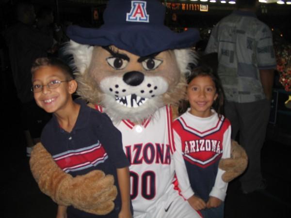 Arizona Wildcat Fan Fave Contest